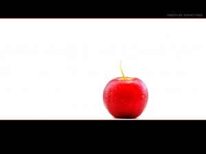 4353048051_ec2a0f437f_b
